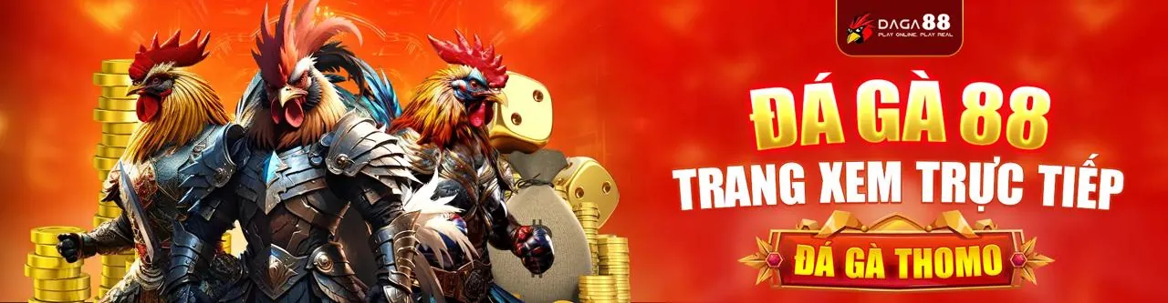 Đá gà trực tuyến đỉnh cao tại xin88 me
