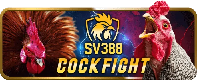 Quy trình đăng ký đại lý xin88 me